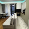 Închiriere apartament de 2 camere cu grădină Unirii thumb 4